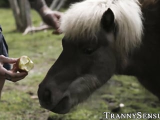 Beautiful shemale plowed and facialized by husbands employee