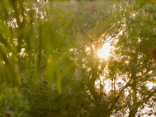 Rich Couple Seduces Ms. Willis & BFF