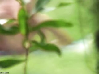 Aroused Couple Enjoys Missionary Sex At The River Bank 