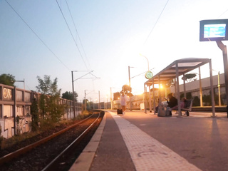 Miss Alice Wild tames the pack...