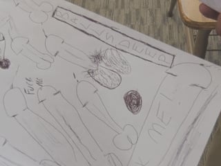 Trans college girl Milli Quinzel Wants Her Teacher's Big Dick