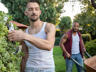 Manscaping - Dillon Diaz, Johnny B