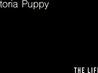 Victoria Puppy rams her pussy with a big cucumber