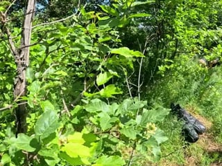 Hot outdoor blowjob and cum play with a down-jacket 269