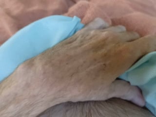 The Brotherhood of Cock