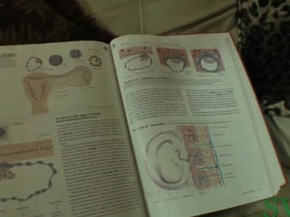 50 And 5 Months Granny Fucks Again ( FULL VERSION )