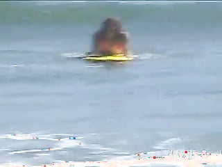 Little April Playing in the Beach