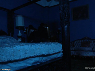 Shemale fucking babe in her ex bfs bed