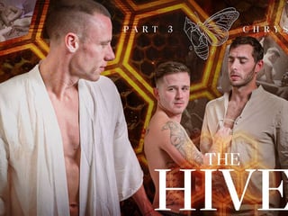 Discover the Transformation in The Hive: Chrysalis with Justin Matthews, Carter Woods, and Andrew Delta