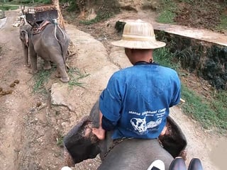 Elephant riding in Thailand with teen couple who had sex afterwards