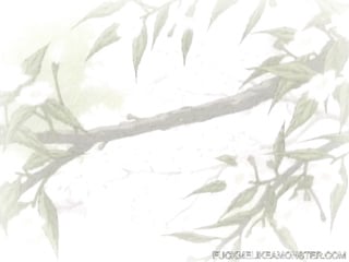 Hentai Cartoon Dubbed In English Romantic